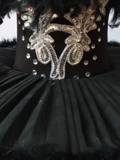 Ballet Dress Black Girl's Kid's Ballerina Feathers Ruffles Lace Polyester Dress Dancing Wear