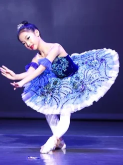Ballet Dress Deep Blue Adults Kid's Ballerina Ruffles Lace Floral Print Polyester Dress Performance Wear