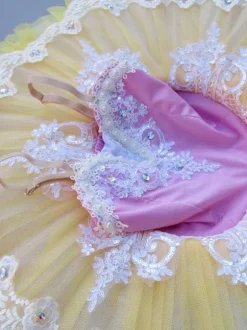 Ballet Dance Costume Kids Beaded Applique Ballerina Tutu Dresses For Little Girls