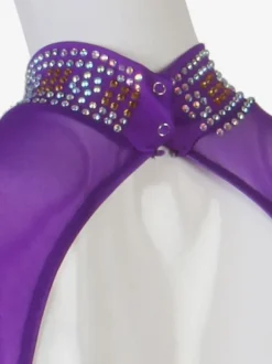 Ballroom Dance Costumes Purple Women's Lycra Spandex Set Dance Dress