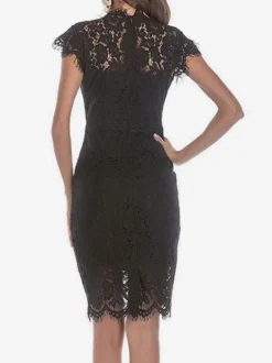 Birthday Bodycon Lace Dresses Designed Neckline Midi Sheath Dress Casual Pencil Dress 2026