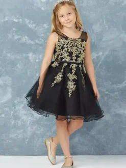 Black Flower Girl Dress Chiffon Lace V-Neck Sleeveless Kids Birthday Party Dresses