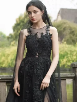 Black Wedding Dresses Lace A-Line Sleeveless Natural Waist Lace With Train Bridal Gown
