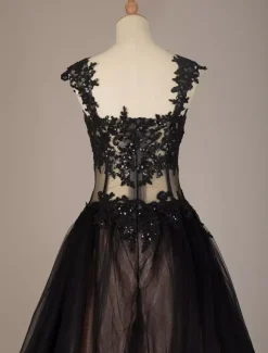 Black Wedding Dresses Tulle Princess Silhouette Sleeveless Low Rise Waist Lace Court Train Bridal Gown Free Customization