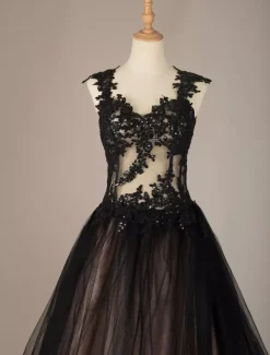 Black Wedding Dresses Tulle Princess Silhouette Sleeveless Low Rise Waist Lace Court Train Bridal Gown Free Customization