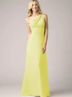Champagne Bridesmaid Dresses Chiffon Backless Ruched A-Line Prom Maxi Dress