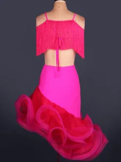 Dance Costumes Latin Dancer Dresses Organza V Neck Spaghetti Strap Fringes Cut Out Irregular Hem Bodycon Dancing Clothes Hallloween