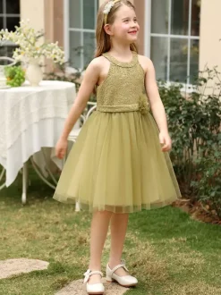 Girl Party Dress Flower Girl Dresses Wedding Kids Social Party Dress Wedding Flower Girl Dress Flower Girl Dresses Sleeveless Flowers