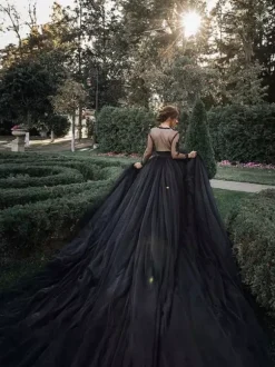 Gothic Black Wedding Dresses Tulle A-Line V-Neck Long Sleeves Backless Lace Royal Train Bridal Gown Free Customization