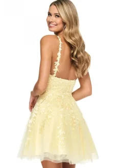 Homecoming Dress 2026 Sleeveless Short A-Line V-Neck Lace Light Blue Party Dress Free Customization