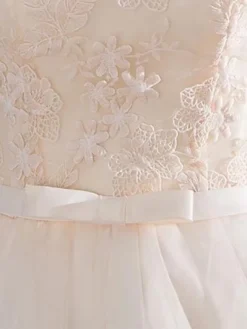 Ivory Cocktail Dress Short Mandarin Collar Lace Applique Cap Sleeve Bow Sash Illusion Organza Homecoming Dress