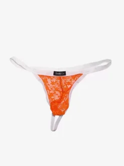 Lace Men Lingerie Piping Sheer Sexy Thong Lingerie