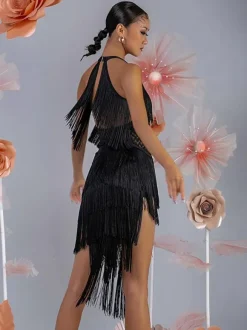 Latin Dance Costume Women Fringe Set Elegant Dress Dancing Costume