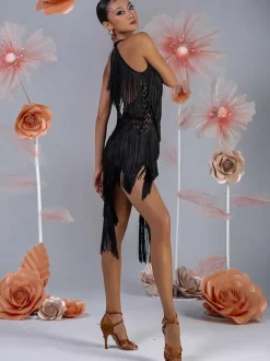 Latin Dance Costume Women Fringe Set Elegant Dress Dancing Costume