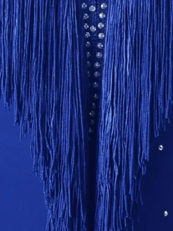 Latin Dance Dresses Blue Women's Polyester Dress Sexy Rhinestones Fringe Latin Dancer Dancing Costume