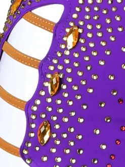 Latin Dance Dresses Purple Women's Lycra Spandex Dress Sexy Fringe Latin Dancer Dancing Wear