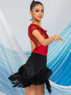 Latin Dance Dresses Coffee Brown Women's Polyester Skirt Top Sheer Elegant Fringe Ruffles Latin Dancer Dancing Costume