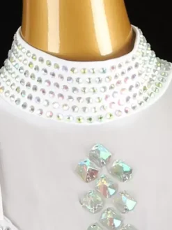 Latin Dance Dresses White Women's Fringe Rhinestones Backless Elegant Lycra Spandex Dress Dancing Wear