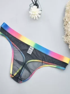 Male Sexy Panties Blue Sheer Men's Lingerie