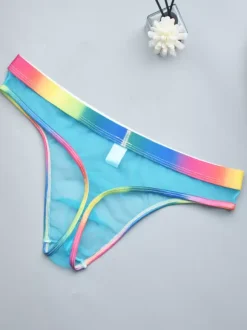 Male Sexy Panties Blue Sheer Men's Lingerie