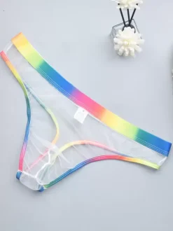 Male Sexy Panties Blue Sheer Men's Lingerie