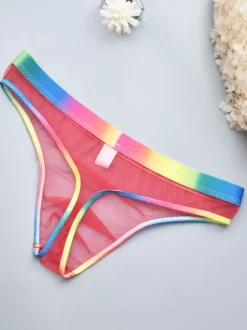 Male Sexy Panties Blue Sheer Men's Lingerie