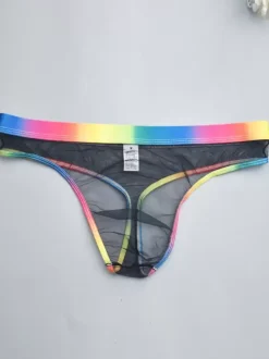 Male Sexy Panties Blue Sheer Men's Lingerie