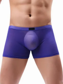 Male Sexy Panties Boxer Tulle Men Lingerie