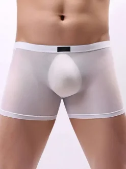 Male Sexy Panties Boxer Tulle Men Lingerie
