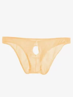 Men's Briefs Nylon Sexy
