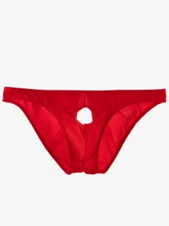 Men's Briefs Nylon Sexy