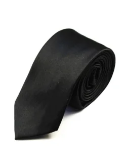 Men's Dress Tie in Satin