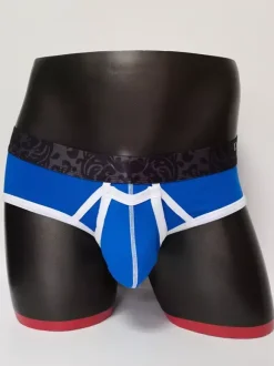 Men's Lingerie Sexy Panties Brief Blue Solid Color Cotton Thong