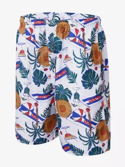 Men’s Swim Trunks Quick Dry Plus Size Tropical Printed Swimwear Beach Shorts