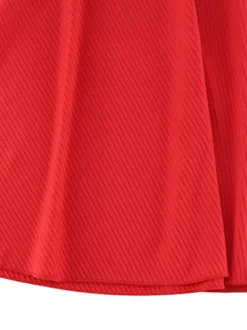 Mesh Corset Mini Dress For Women - Long Sleeve Ribbed Skater Dress - Spring Night Out Club Party 2026