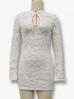 Mini Lace Dress With Cutout Long Sleeve High Neck Sexy Bodycon Club Dress For Women 2026