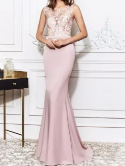 Pink Evening Dress 2026 Jewel Neck Sleeveless Backless Lace Mermaid Formal Dresses Wedding Guest Dresses Free Customization