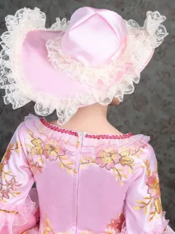 Pink Victorian Elegant Evening Gown With Lace Details Vintage Dress