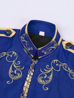 Purple Men's Retro Steampunk Coat High Collar Embroidery Front Zip Long Sleeves Vintage Coat