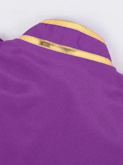 Purple Men's Retro Steampunk Coat High Collar Embroidery Front Zip Long Sleeves Vintage Coat