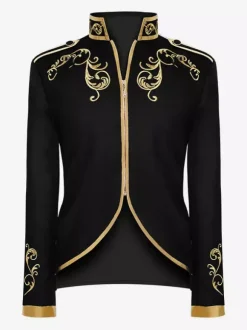 Purple Men's Retro Steampunk Coat High Collar Embroidery Front Zip Long Sleeves Vintage Coat