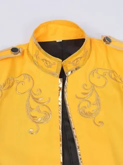 Purple Men's Retro Steampunk Coat High Collar Embroidery Front Zip Long Sleeves Vintage Coat