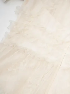 Ruffles Dress Illusion Neckline Ruffles Layered Tulle Maxi Dresses
