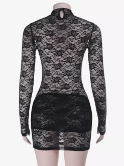 Sheer Floral Lace Mini Dress For Women - Black Gothic Mock Neck Long Sleeve Bodycon - Spring Club Night Outfits 2026