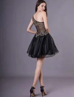Short Organza Homecoming Dress 2021 With Rhinestones Detailing