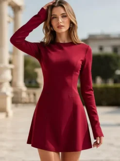 Sophisticated Structured Seam Long Sleeve Mini A Line Dress For Women 2026