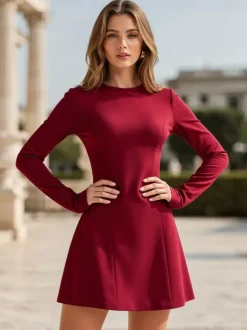 Sophisticated Structured Seam Long Sleeve Mini A Line Dress For Women 2026