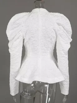Textured Jacquard Puff Sleeve Blouse High Neck Peplum Waist Flared Hem Tops