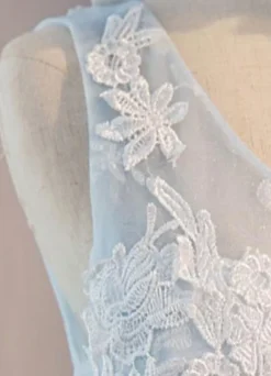 Tulle Homecoming Dress 2026 Lace Applique Prom Dress Baby Blue Sash Backless A Line Knee Length Party Dress Free Customization