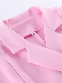 Two Piece Sets Pink Chic Daily Casual Turndown Collar Sleeveless Pant Set